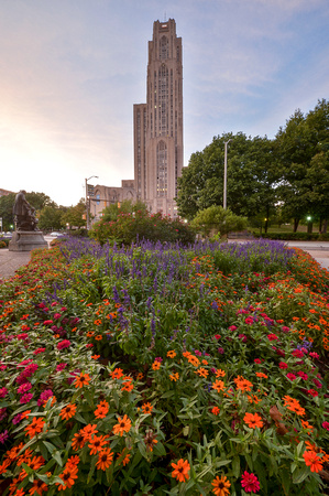 Cathedral of Learning, Oakland