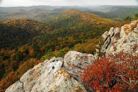 Chris Litherland Photography | Arkansas | Ouachita National Forest